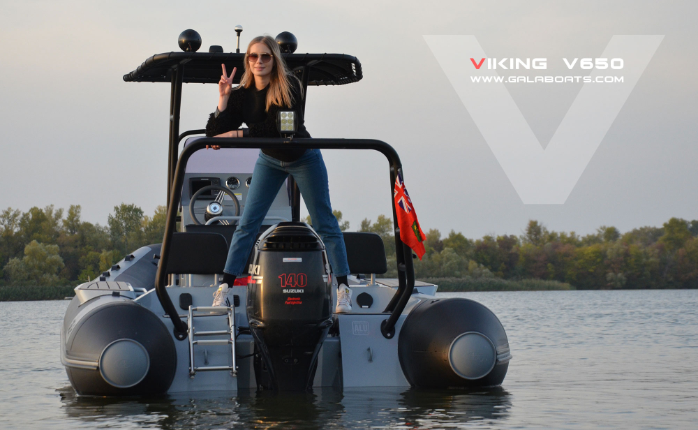 VIKING 650 [13]