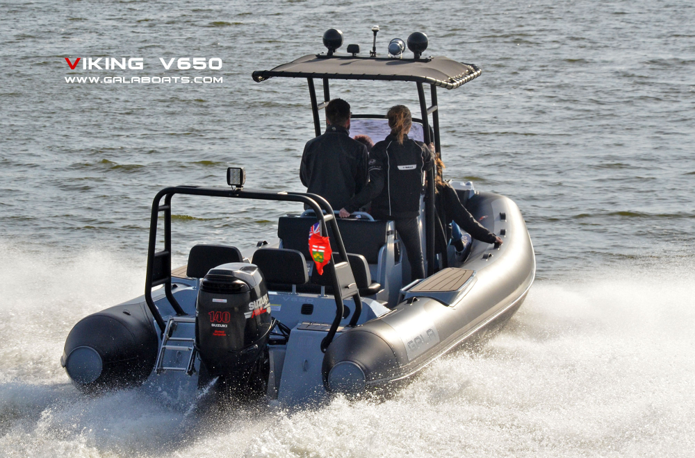 VIKING 650 [10]
