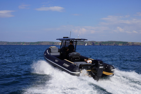 DREAM 850 [3]