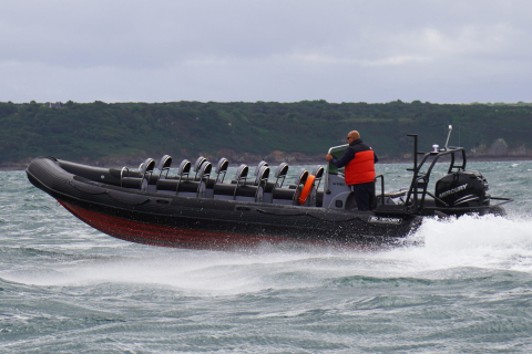 Ambarcațiuni - PATROL 860