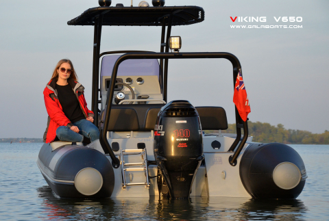 VIKING 650 [11]
