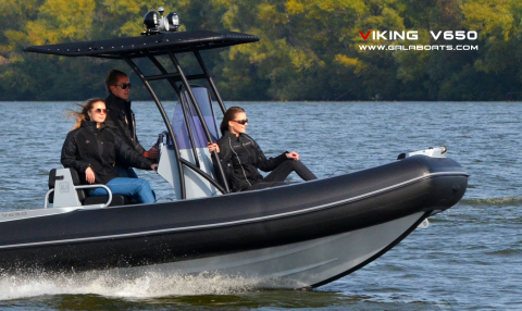 VIKING 650 [10]