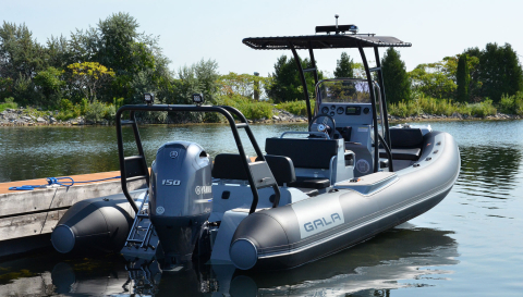 VIKING 650 [1]
