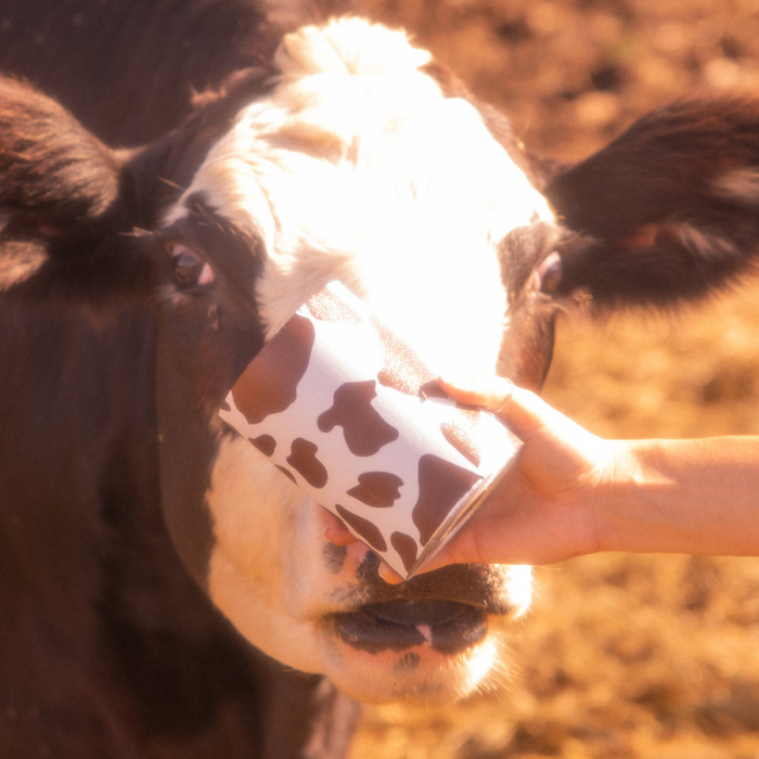 Embossed Roll Medium Yeehaw 98m [6]