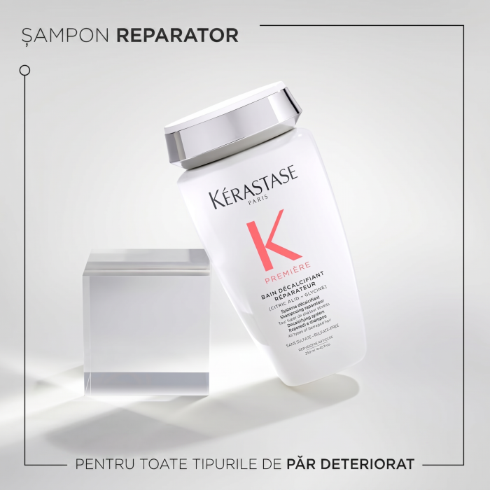 Kerastase Trusa Discovery Premier [5]