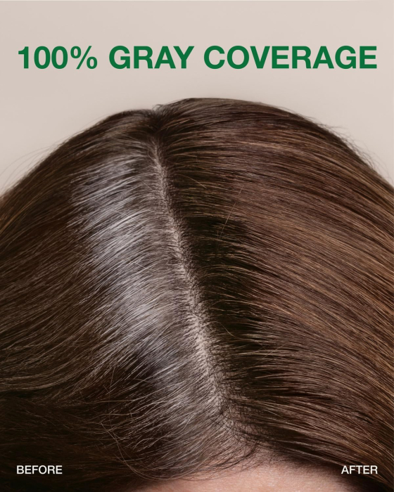 Naturigin Permanent Colours 6.0 [3]