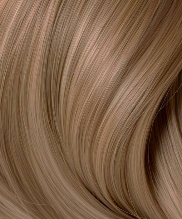 Naturigin Permanent Colours 8.1 [2]