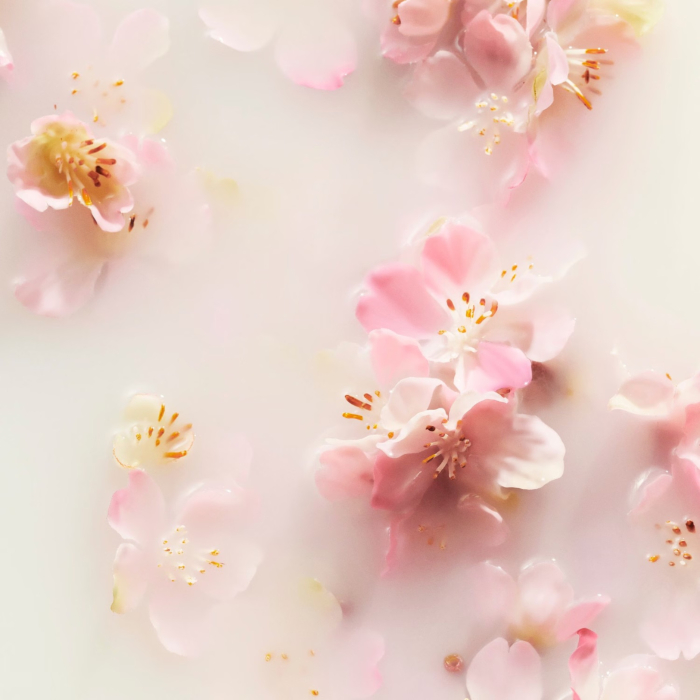 Rituals The Ritual Of Sakura Trial Set [6]