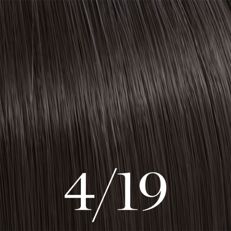4/19 Color Touch 60ml [2]
