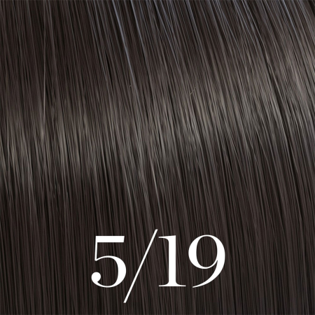 5/19 Color Touch 60ml [2]