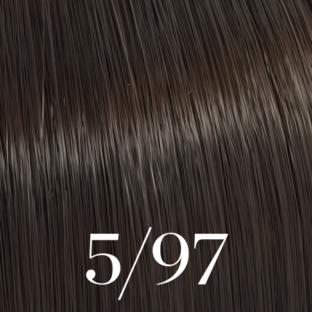 5/97 Color Touch 60ml [2]