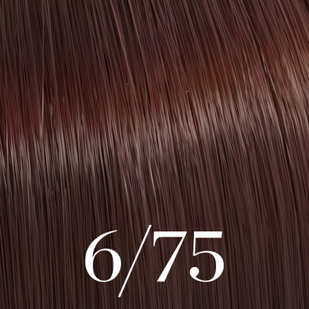 6/75 Color Touch 60ml [2]