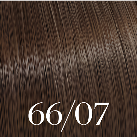 66/07 Color Touch Plus 60ml [2]