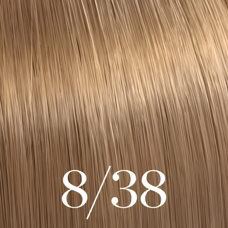 8/38 Color Touch 60ml [2]