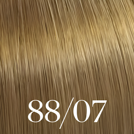88/07 Color Touch Plus 60ml [2]