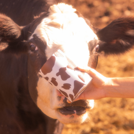 Embossed Roll Medium Yeehaw 98m [5]