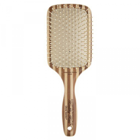 Healthy Hair Eco-Friendly Bamboo Ionic Paddle Hair Brush [0]