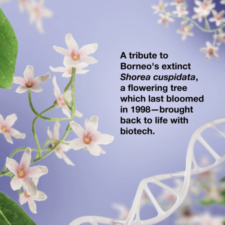 K18 Future Society leave-in Molecular Repair Mask50ml [5]