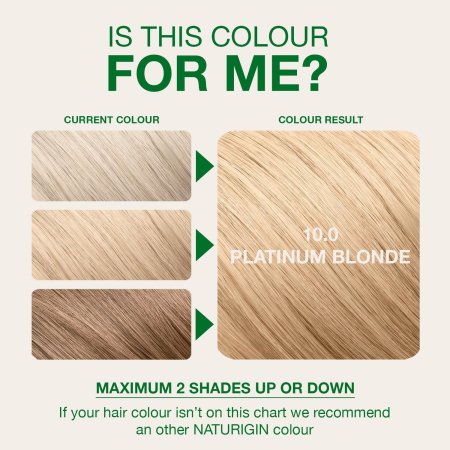 Naturigin Permanent Colours 10.0 [6]