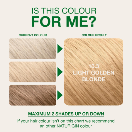 Naturigin Permanent Colours 10.3 [2]