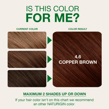 Naturigin Permanent Colours 4.6 [6]