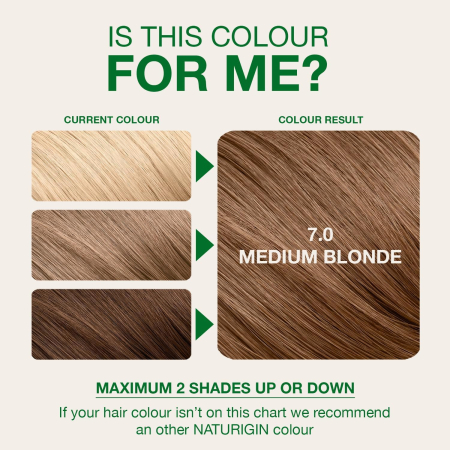 Naturigin Permanent Colours 7.0 [4]