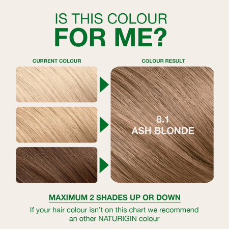 Naturigin Permanent Colours 8.1 [5]