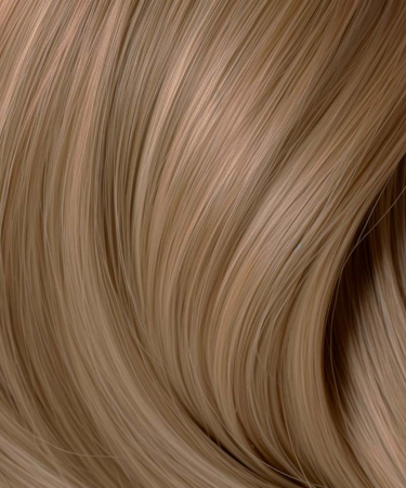 Naturigin Permanent Colours 8.1 [1]