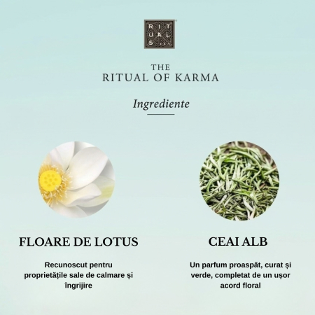 Rituals The Ritual Of Karma Trial Set [4]