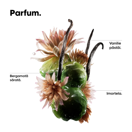 SE Absolut Repair Molecular Oil 30ml [5]