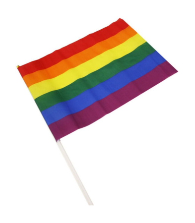 Produse <Body care - 12 MEDIUM PENNANTS 30 X 20 CM RAINBOW FLAG