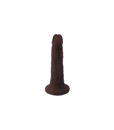 Produse<Lenjerie intima - EASY RIDERS THIN CHOCOLATE DILDO 15'25 CM