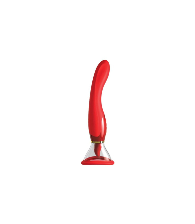 Produse <Sex toy<Body care<Lenjerie intima - HER ULTIMATE PLEASURE HOLIDAY VERSION RED