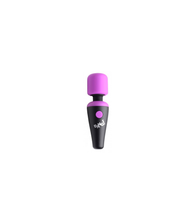 Produse <Body care - MINI MASSAGER WAND 10 FUNCTIONS USB PURPLE