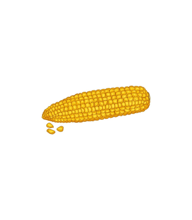 Produse <Body care - YELLOW COB PENIS