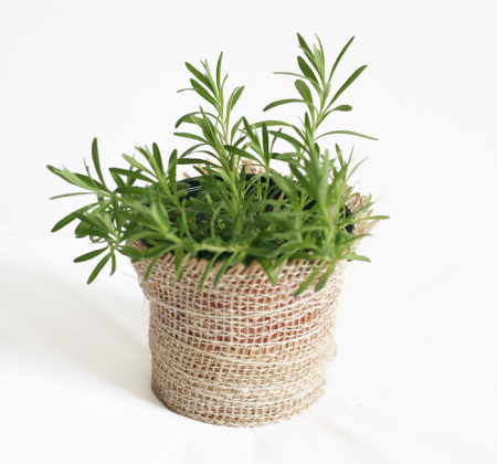 Levantica - Levantica la ghiveci