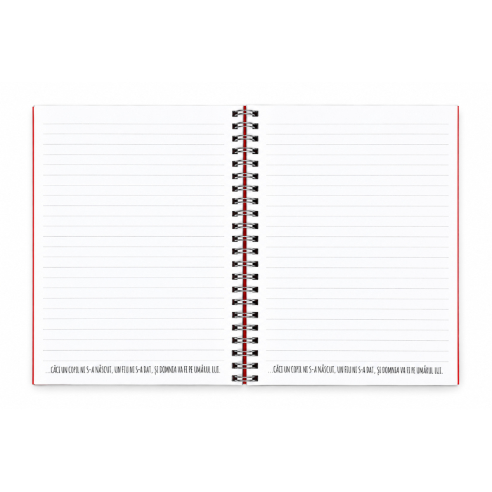 Notes cu elastic [7]
