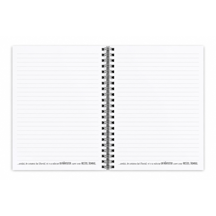 Notes cu elastic [9]