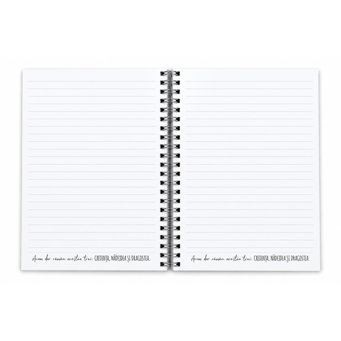 Notes cu elastic [5]