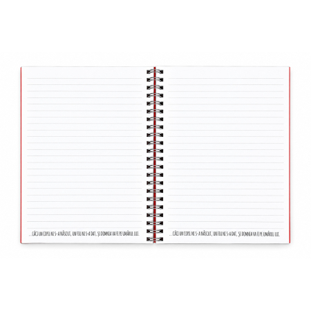 Notes cu elastic [6]