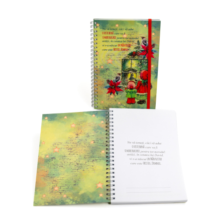 Notes cu elastic [7]