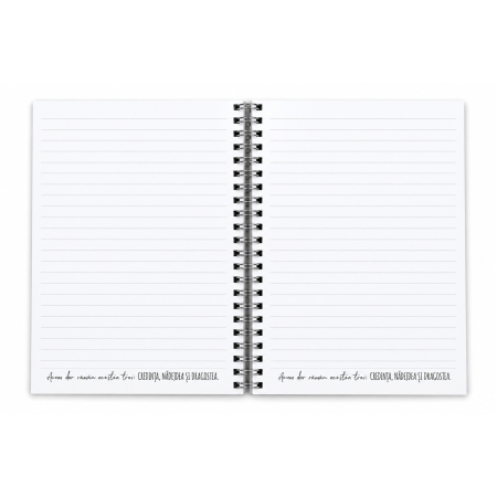Notes cu elastic [4]
