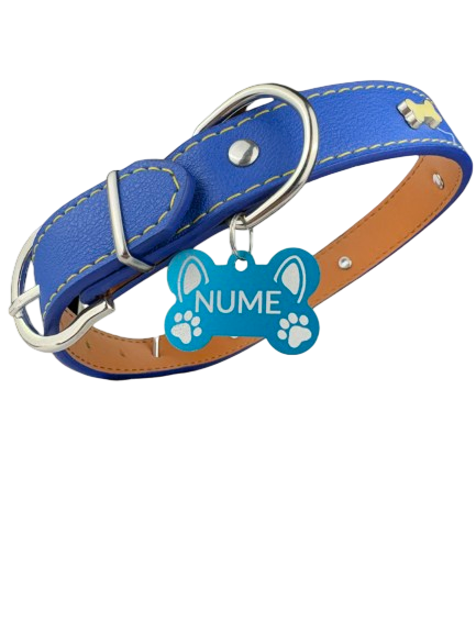 Zgarda Albastru pentru animale cu medalie personalizata – gravura pe comanda + medalie CADOU Marime M [1]