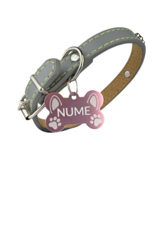 Produse - Zgarda gri pentru animale cu medalie personalizata – gravura pe comanda + medalie CADOU Marime S