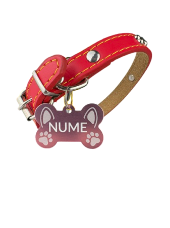 Produse - Zgarda Rosu pentru animale cu medalie personalizata – gravura pe comanda + medalie CADOU Marime S