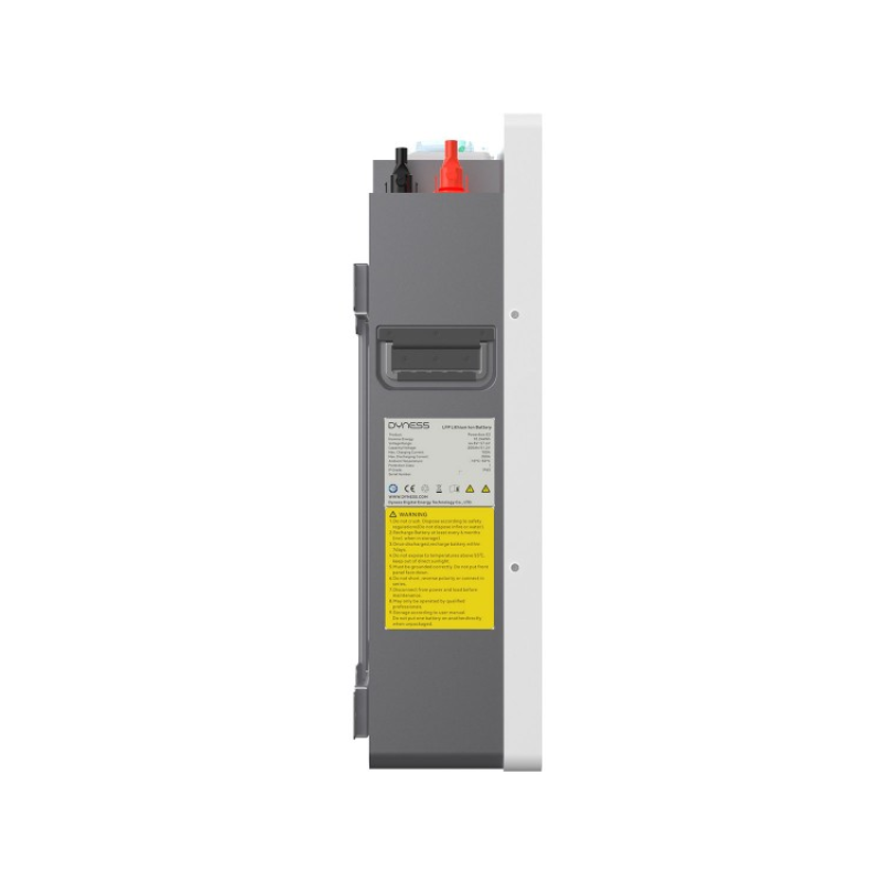 Acumulator LiFePO4 10.24kWh Dyness Powerbox G2 51.2V 200Ah [3]