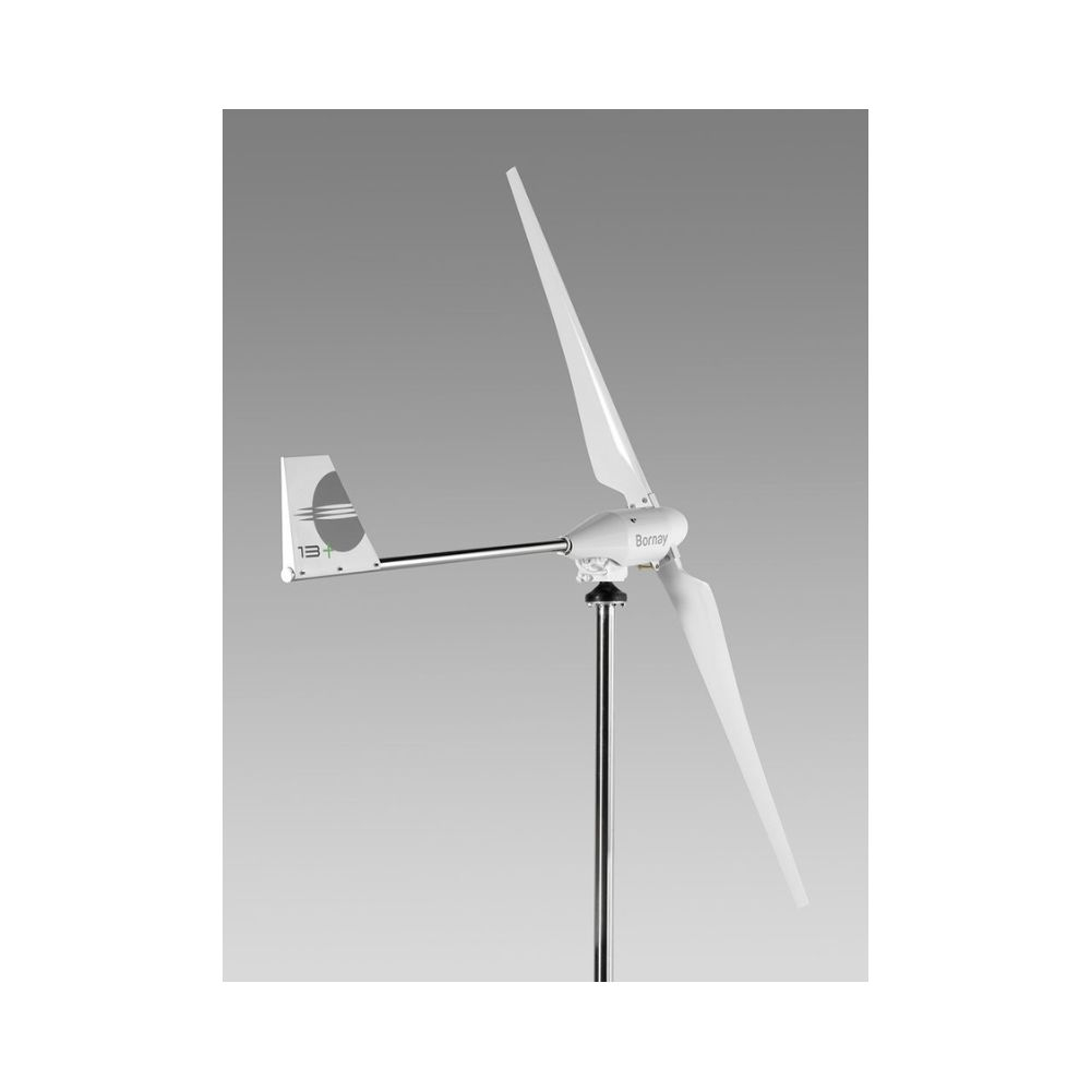 Pachet eolian Bornay Wind 13+ 1 kW cu turn 12 m [3]