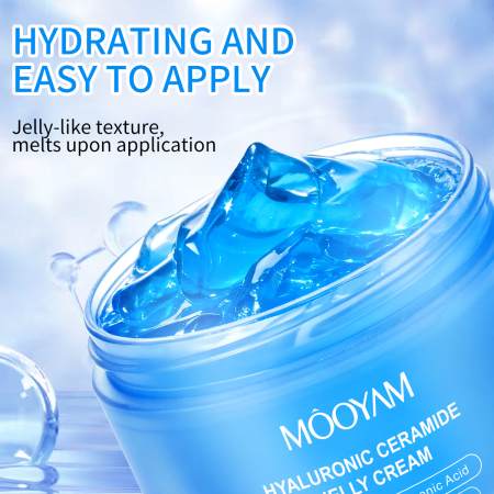 Hyaluronic Ceramide Jelly Cream [4]