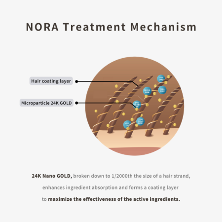 Tratament coreean reparator intens pentru par NOLA [3]