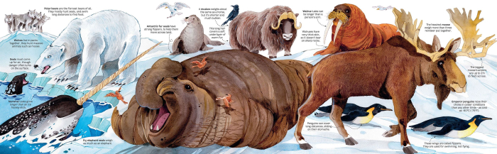 Big Book of Animals [3]